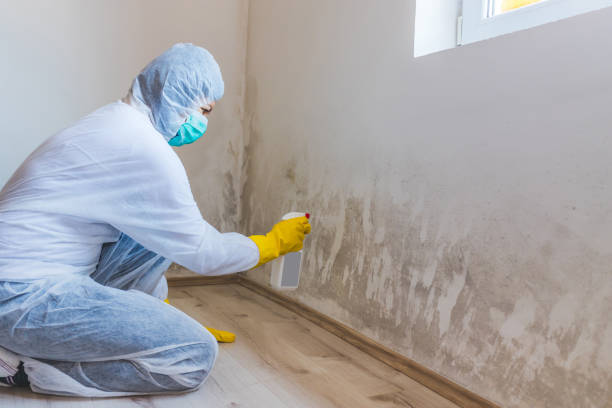 Bathroom Mold Removal assessment in Stafford bathroom